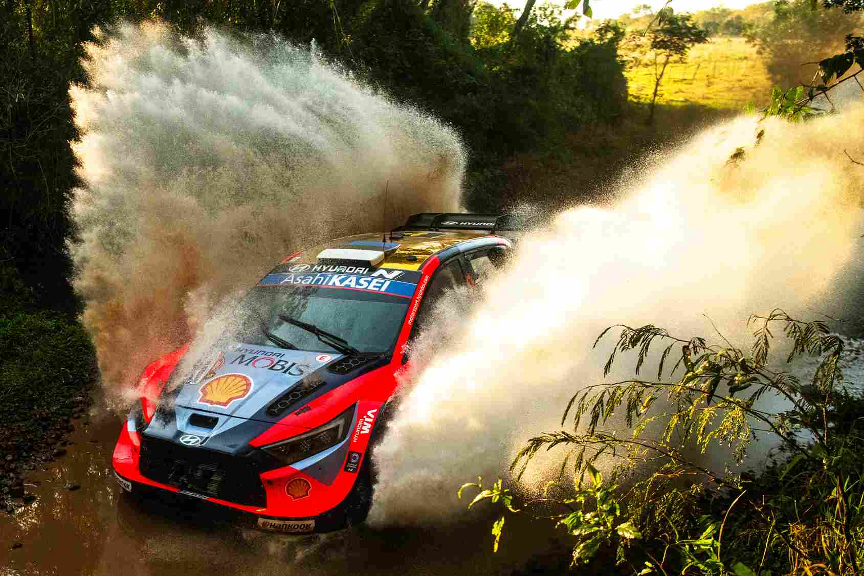 Ott Tänak (EST) Martin Järveoja (EST)