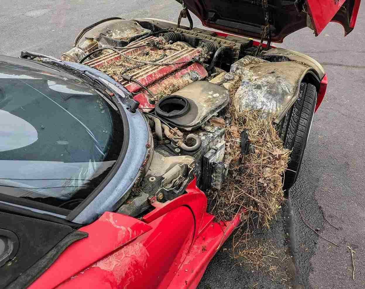 1994 Dodge Viper RT/10 Viper in the Sky 28 yıl sonra indirildi